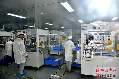 科技企業(yè)奮楫第四季度 電子產(chǎn)品技術開發(fā)的新機遇與挑戰(zhàn)